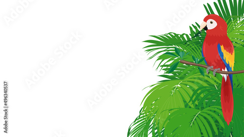 熱帯の植物とアカコンゴウインコのイラスト_フレーム_16:9