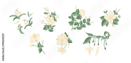 Big collection of plants with white flowers and white berries - rose  fuchsia  jasmine  snowberry  mistletoes  illustrations set isolated on white