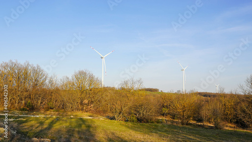 Wallpaper Mural Wind energy turbines installed in the forest. Renewable natural energy source. Torontodigital.ca