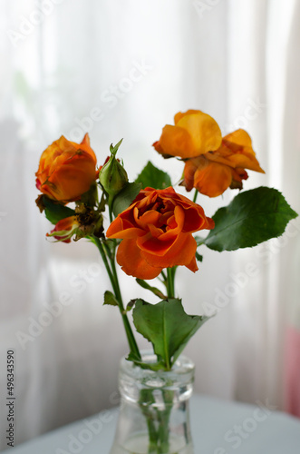 Orange roses with falling leaves in a glass bottle on the table. The concept of passing time. old flowers. Lost chic. Vertical orientation.