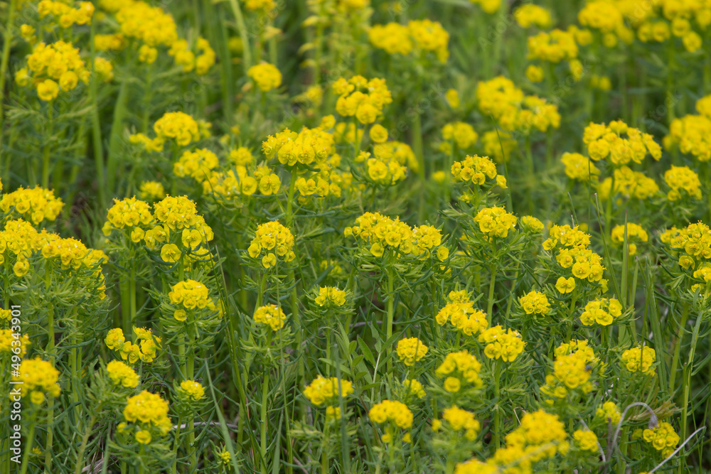 Frühlingsfarben