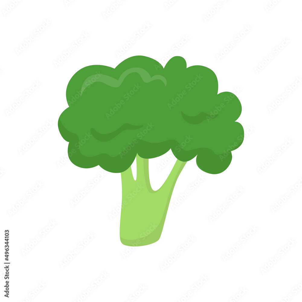 Broccoli, vegetable. Flat vector illustration in cartoon style Broccoli, vegetable. Flat vector illustration in cartoon style