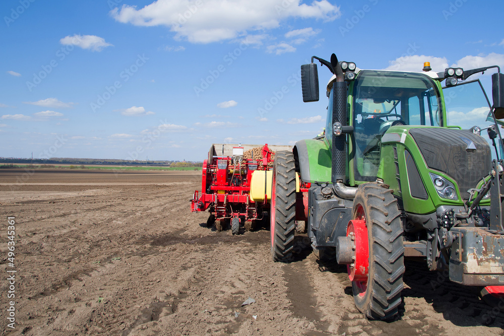 Obraz premium planting a potato