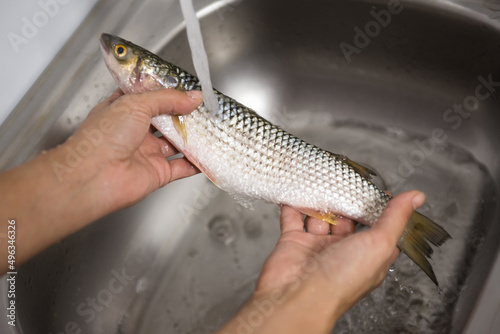 Fototapeta Naklejka Na Ścianę i Meble -  Cook's hands cleaning a fish and preparing it for cooking.