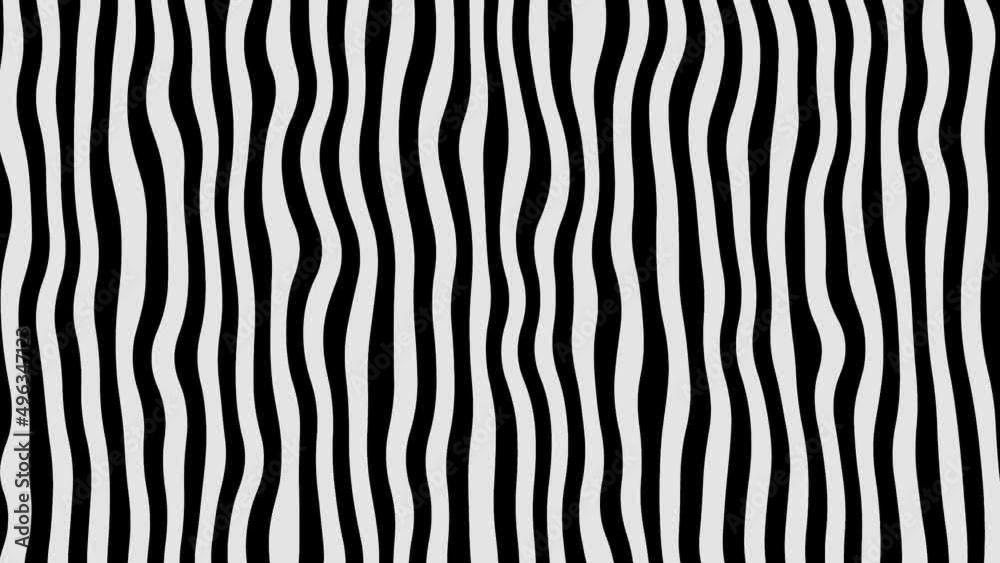 zebra stripe pattern loop animation zebra stripe pattern loop animation