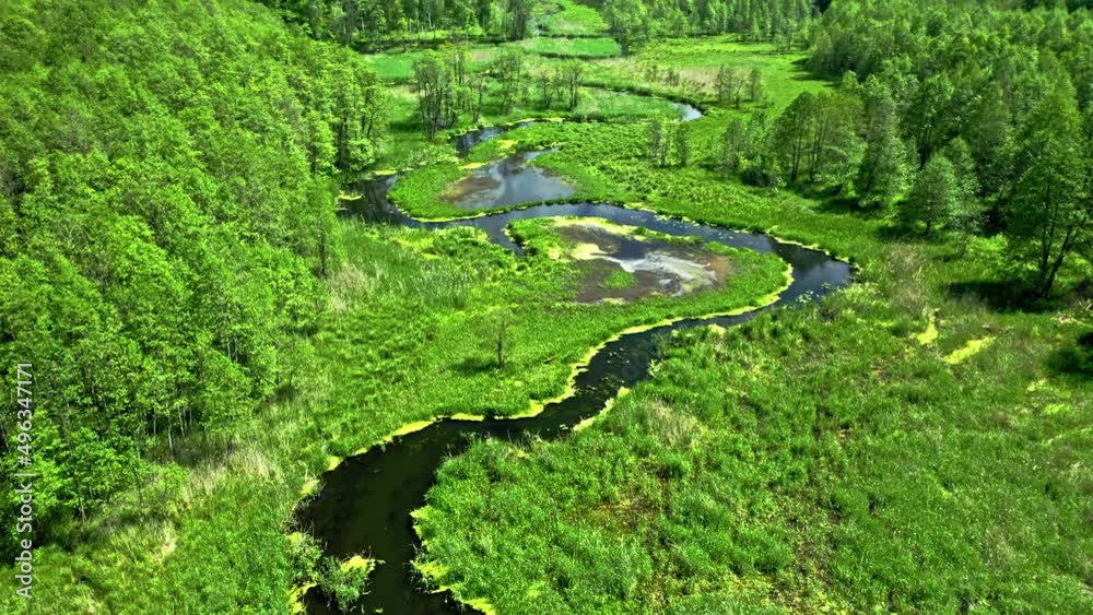 Stunning river and blooming algae in summer. Stunning river and blooming algae in summer.