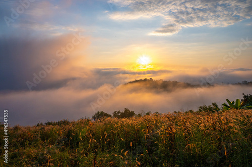 Landscape from the top of mountain on sunrise with misty in morning at Phu Lam Duan  Pak Chom District  Loei Province  Thailand