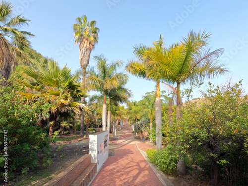 Conception garden  Jardin la concepcion in Malaga with palm trees alley  Spain  Europe