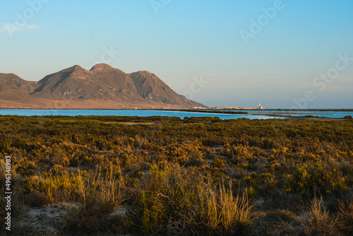 salt flats with flamingos in Cabo de Gata with the church and the mountain in the background