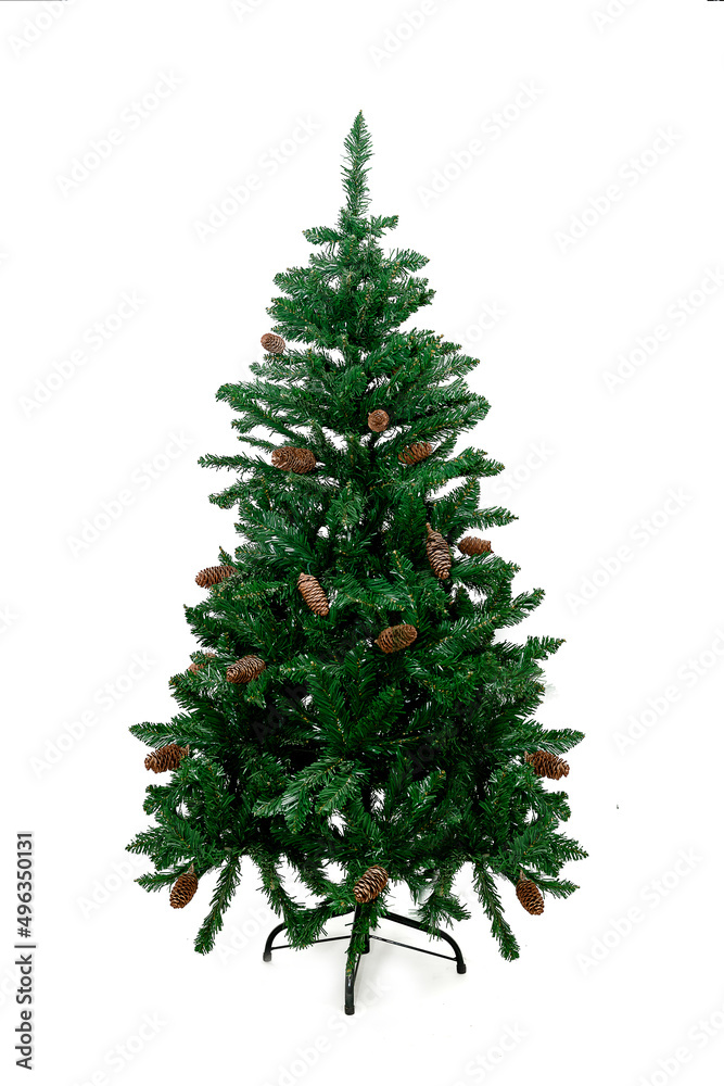Christmas tree isolated white background, for print