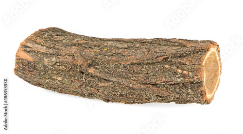wood log oak  wood with bark isolated on white background