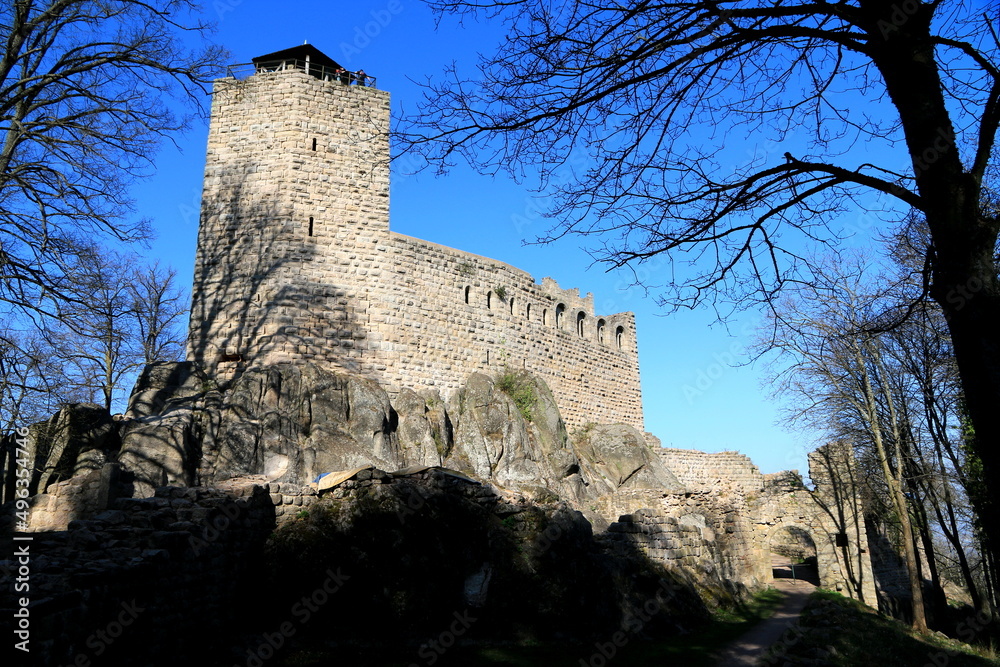 Château du Bernstein en Alsace