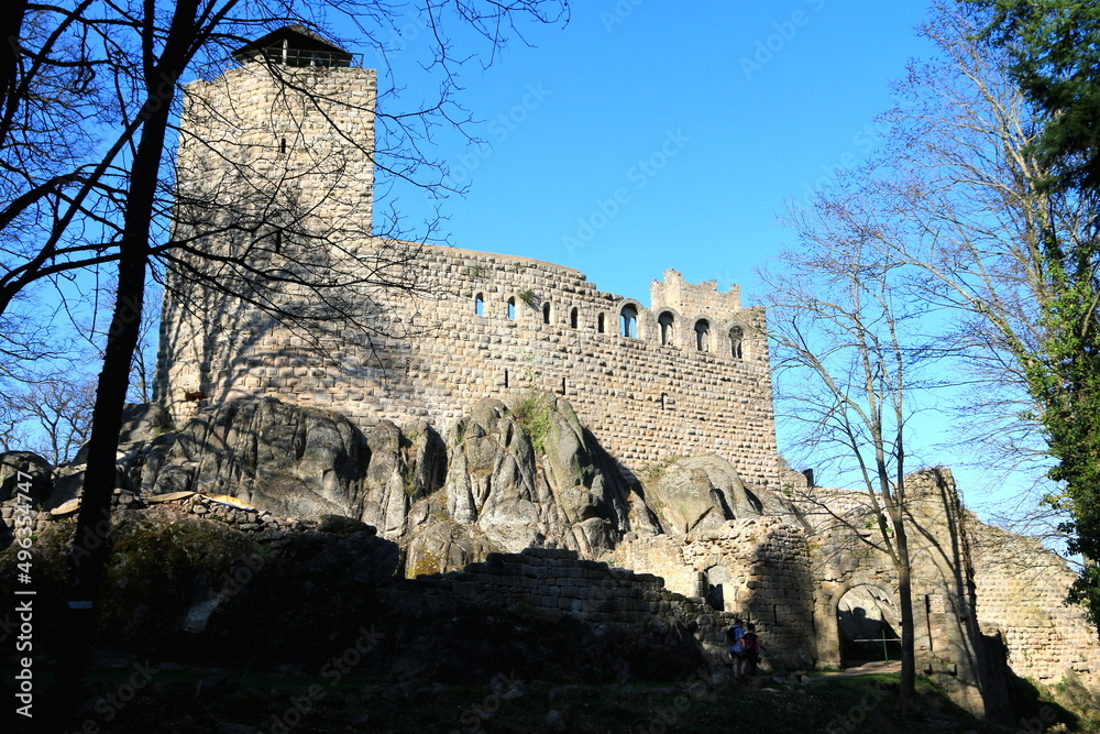 Château du Bernstein en Alsace