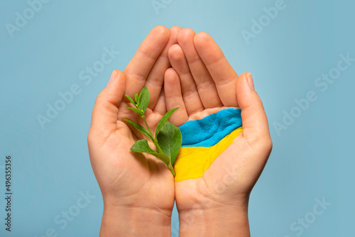 Woman hands cupped with Ukrainian flag holding young plant, help Ukrainians