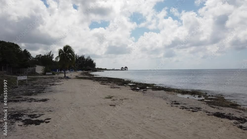 custom made wallpaper toronto digitalCozumel Island day trip footages in Quintana Roo, Mexico