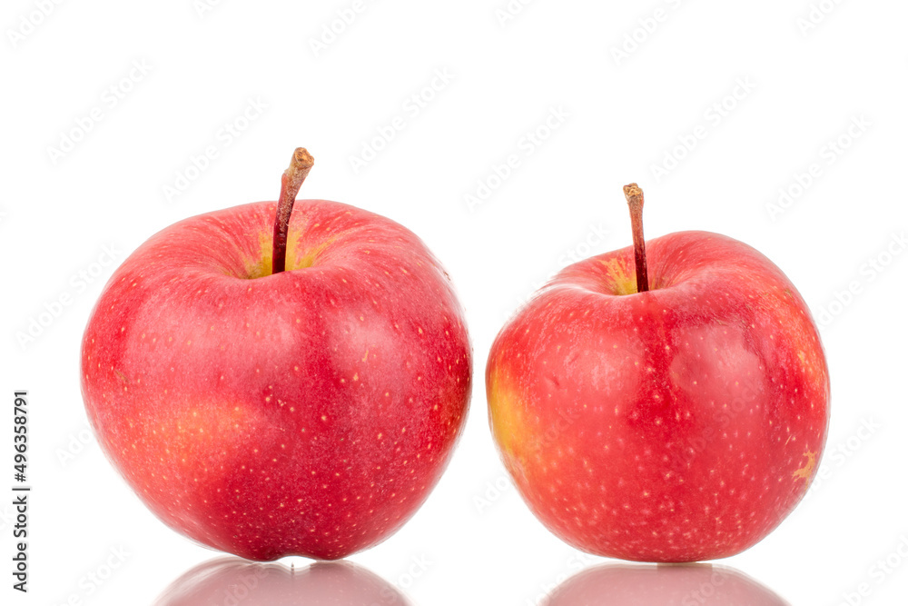 Two ripe red apples, macro, isolated on a white background.