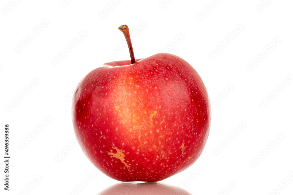 One ripe red apple, macro, isolated on a white background. One ripe red apple, macro, isolated on a white background.