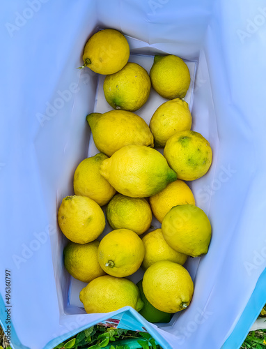 Sicilian lemons in a blue bag. Harvest.