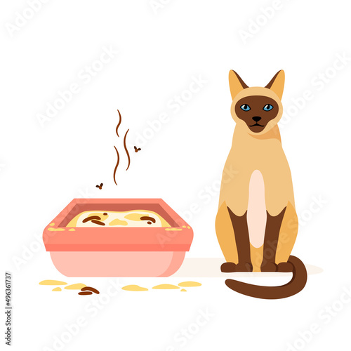Cat not using dirty litter box. Wrong way to maintain cat toilet. Pet toilet hygiene concept. Flat vector illustration
