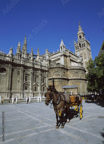 Horse carriage at La Giralda, Plaza del Triunfo, Seville, Spain photo