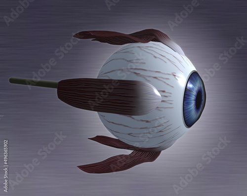 Close-up of the human eyeball photo