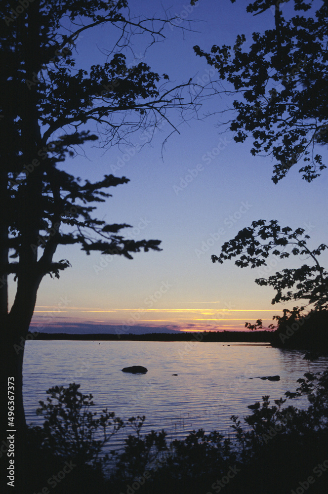 Silhouette of trees at dusk, Kejimkujik National Park, Nova Scotia, Canada Silhouette of trees at dusk, Kejimkujik National Park, Nova Scotia, Canada