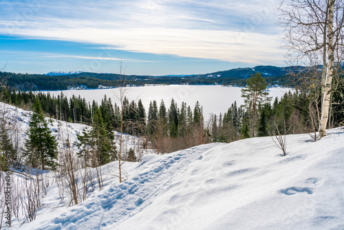 Winter landscape in snow covered Bymarka nature reserve with view of frozen lake Skjellbreia near Trondheim, Norway photo