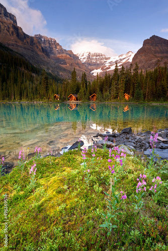 Lake in front of mountains, Lake O'Hara, Yoho National Park, British Columbia, Canada