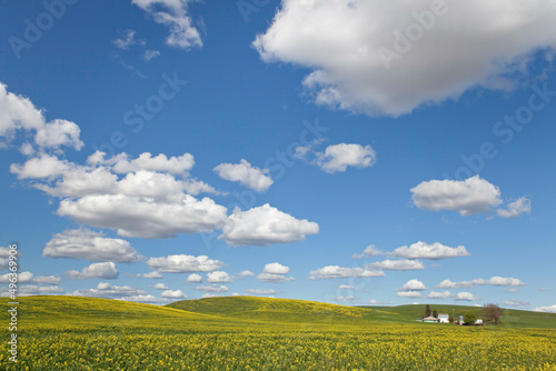 Cloudy Sky, Washington, USA photo