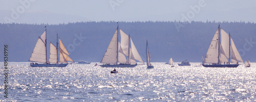Sailboats racing in the ocean, Port Townsend, Washington State, USA