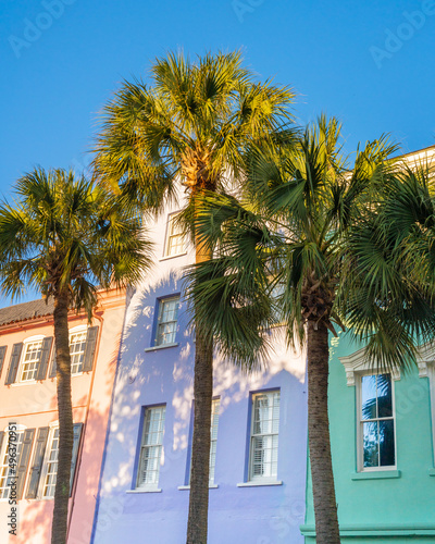 Historic Rainbow Row colorful house and palm trees seen in Charleston South Carolina © littleny
