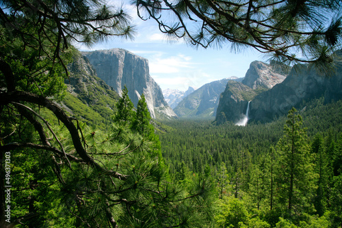 High angle view of trees in a valley, Yosemite Valley, Yosemite National Park, California, USA