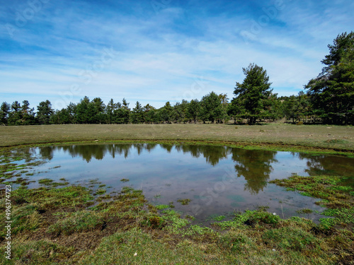 lake in the forest