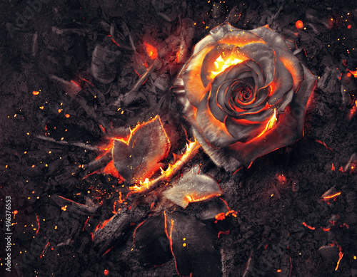Burning Rose in Pile of Ashes photo