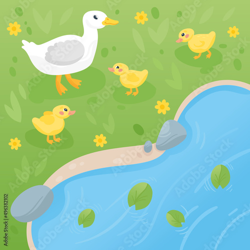 Duck and ducklings on the lake. Cute mother duck and yellow babies birds walking on green grass, hand drawn vector illustration