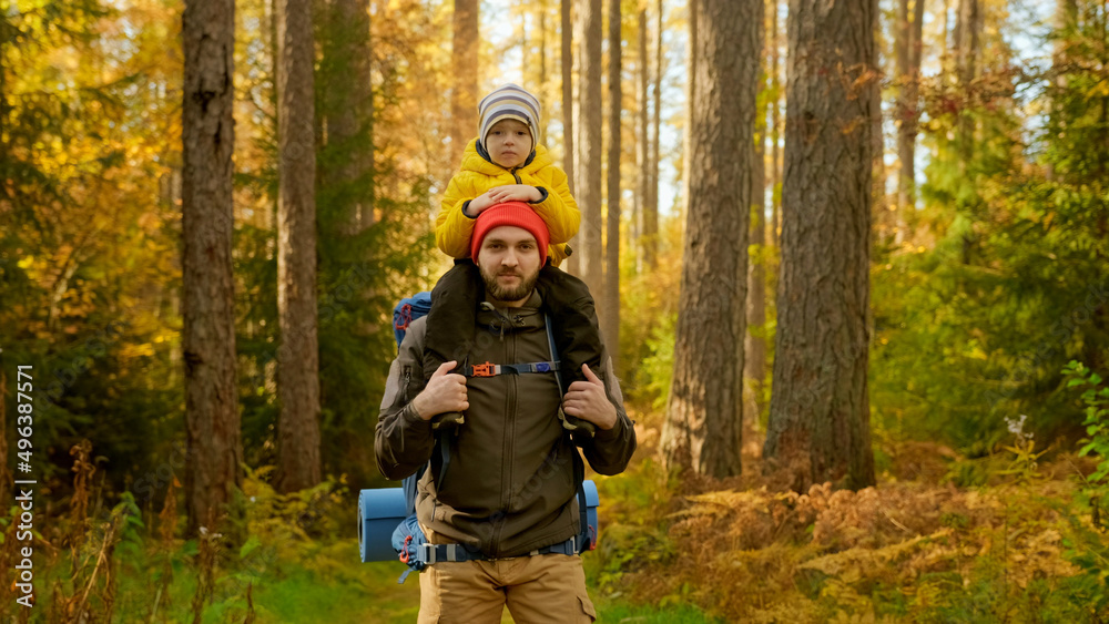 Happy man and a boy go hiking in autumn forest with backpack for hiking. Slow motion portrait smiling father and son sitting on his father's shoulders walking through sunny autumn yellow summer wood.