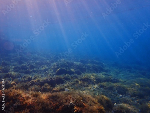underwater scene with sun rays and sun