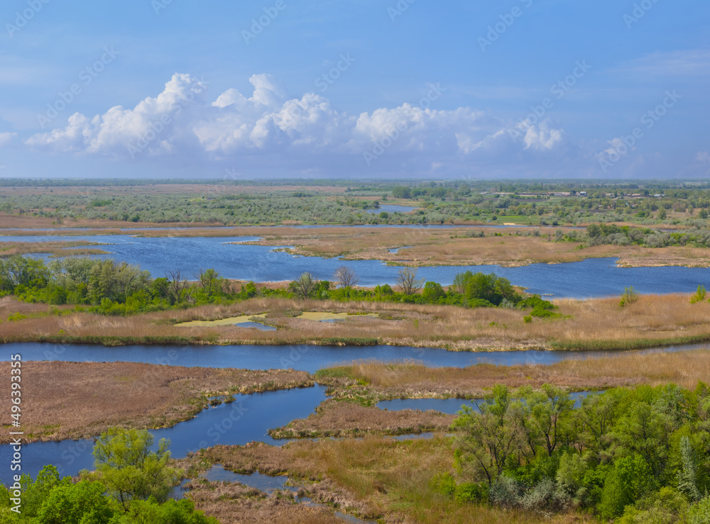 view ftom above to quiet river flow through a forest, summer natural countryside scene