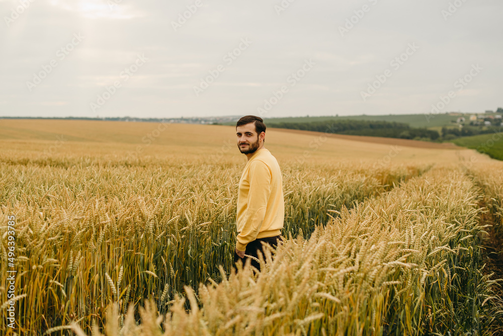 The beautiful bearded man in yellow sweater walking in big field of wheat. Farming, business, young people. Alone, ripe, food, bread. The beautiful bearded man in yellow sweater walking in big field of wheat. Farming, business, young people. Alone, ripe, food, bread.