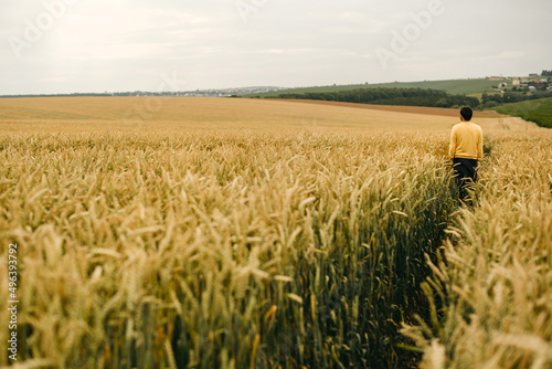 The beautiful bearded man in yellow sweater walking in big field of wheat. Farming, business, young people. Alone, ripe, food, bread.