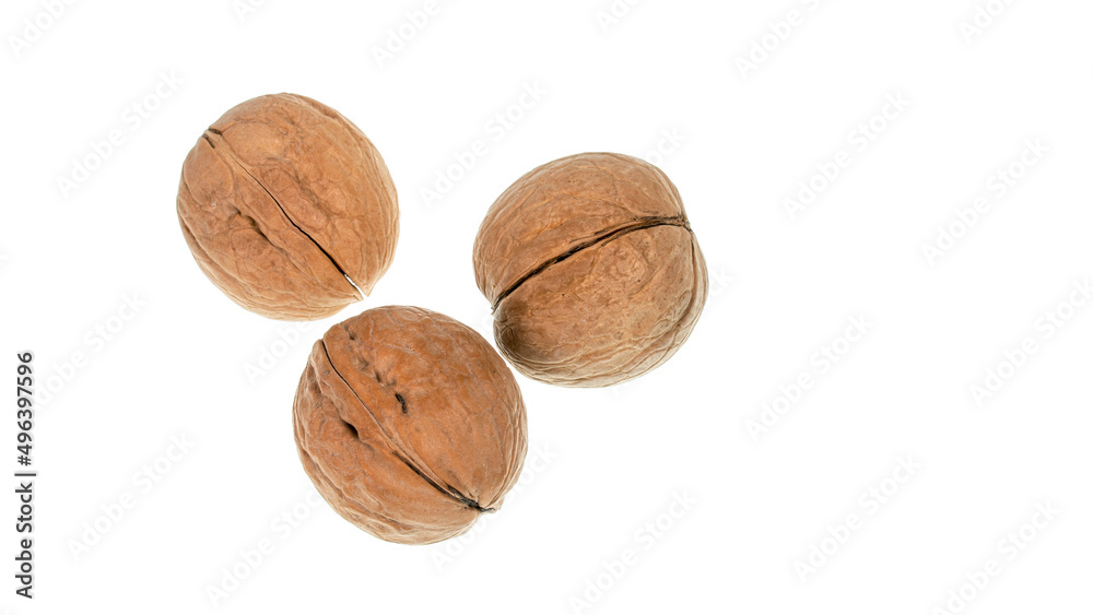 walnuts on a white background. big nuts walnuts on a white background. big nuts