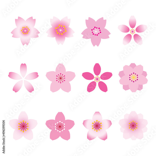 Cherry blossom graphic design source © MINHO