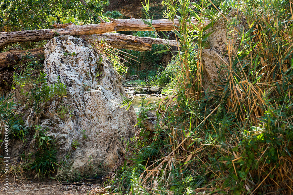 Fototapeta premium Natural Sceneries of The Volcanic Hot Springs in Segesta, Province of Trapani, Italy. (Part II)