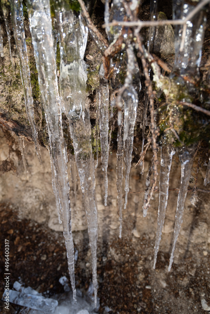 Icicles in the nature in Davos in Switzerland Icicles in the nature in Davos in Switzerland