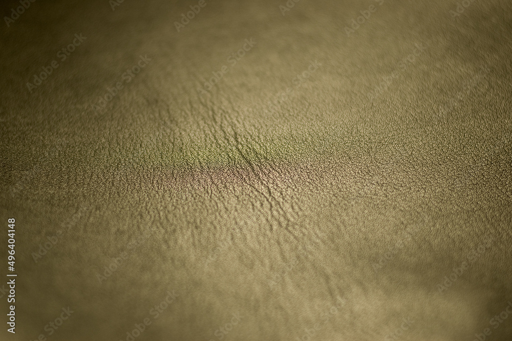 Real leather texture. Real leather texture.