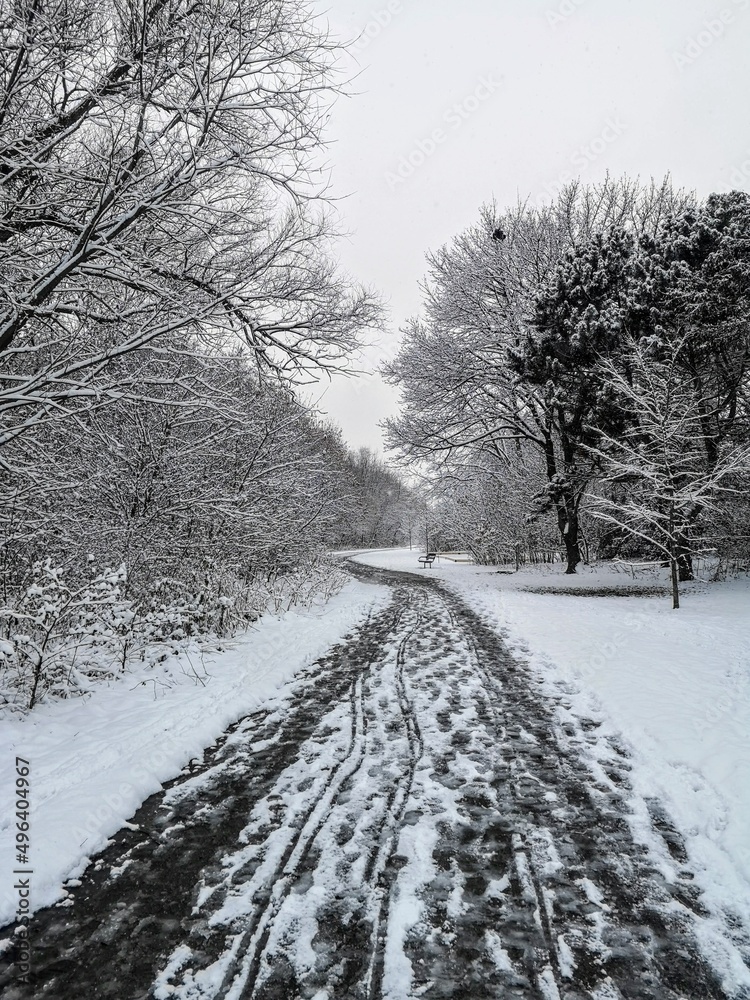 Spring snowfall in Mississauga, Ontario, Canada
