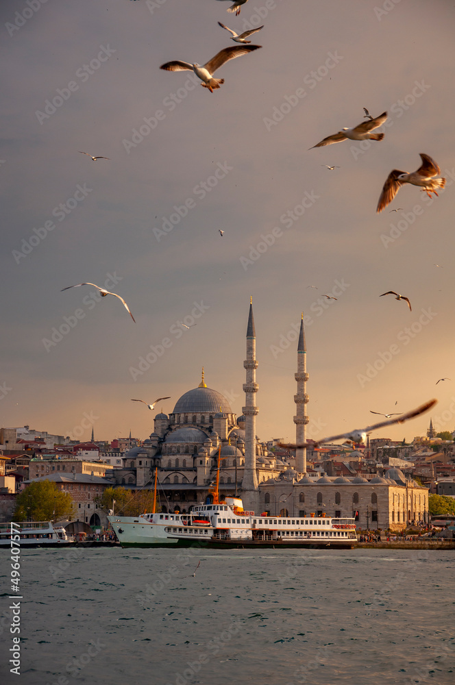 Fototapeta premium Istanbul Golden Horn view. Flock of seagulls. passenger ferries. Mosques. 