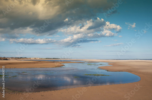 Fototapeta Naklejka Na Ścianę i Meble -  blue stream running in the sand in praia do  cassino , rio grande do sul