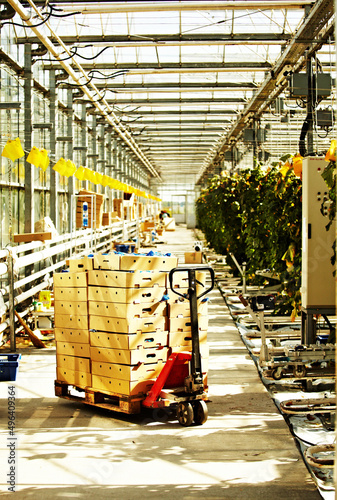 greenhouses