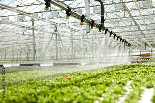 greenhouses